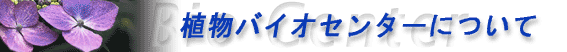 植物バイオセンターについて