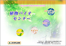 植物バイオセンター特設ページ