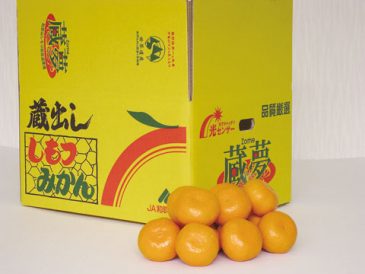 農機資材 – 果樹王国 JA和歌山県農